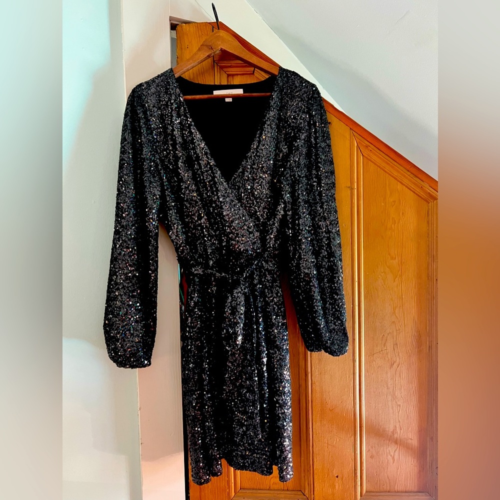 Ann Taylor loft sequin dress